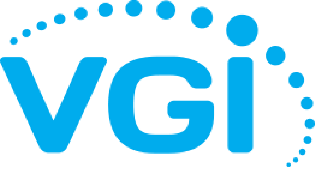VGI logo