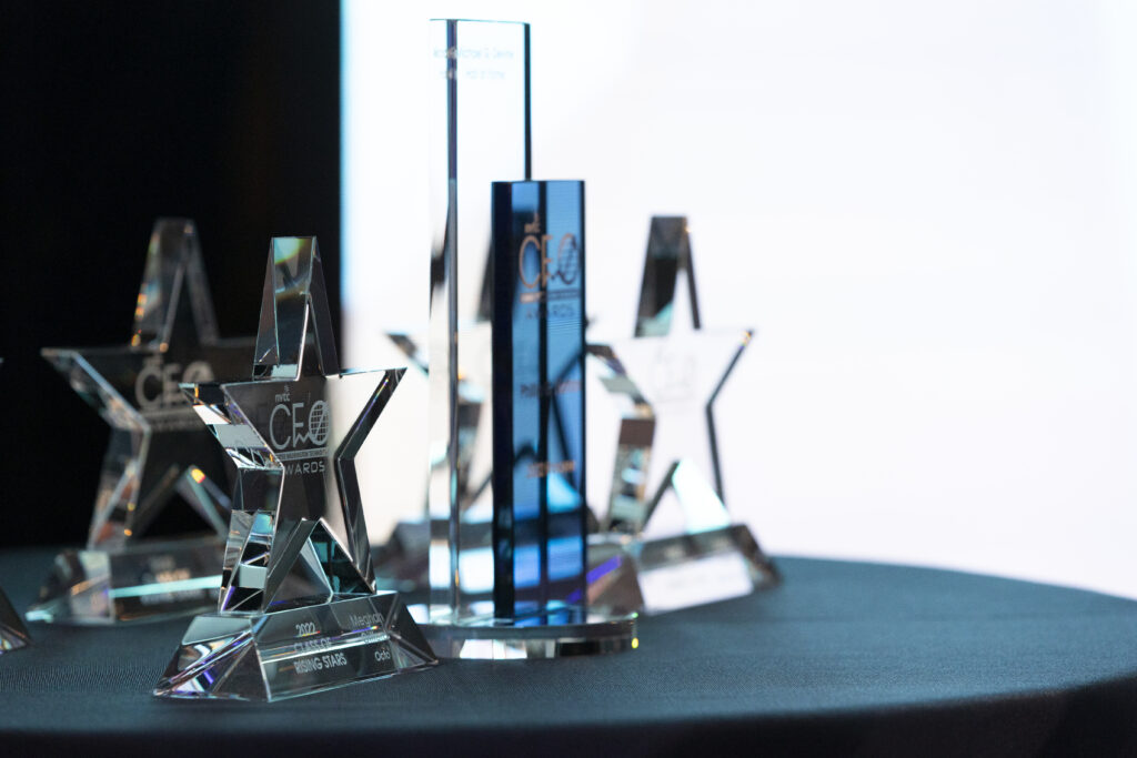 image of crystal CFO Awards