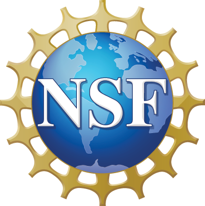 Log of NSF